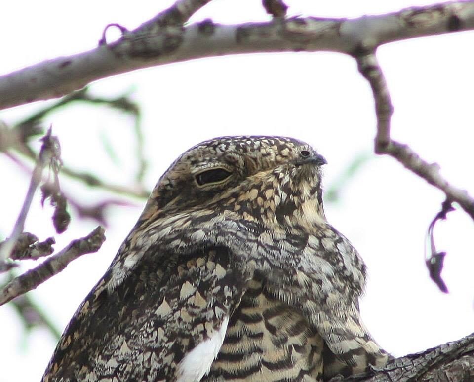 IMAGE: http://i1253.photobucket.com/albums/hh586/tmcdan6/Mobile%20Uploads/image_zpsbokxshee.jpg