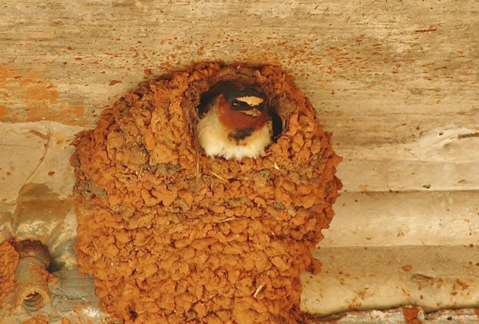 IMAGE: http://i1253.photobucket.com/albums/hh586/tmcdan6/Mobile%20Uploads/image_zpseztq1ak1.jpg