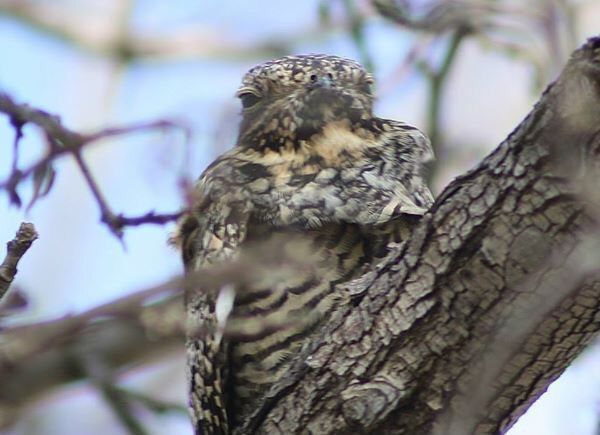 IMAGE: http://i1253.photobucket.com/albums/hh586/tmcdan6/Mobile%20Uploads/image_zpsggjogyq6.jpg