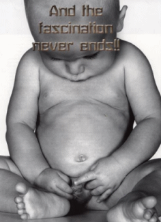 Image and video hosting by TinyPic