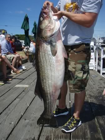  photo fish10.jpg