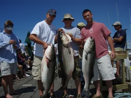  photo fish2.jpg