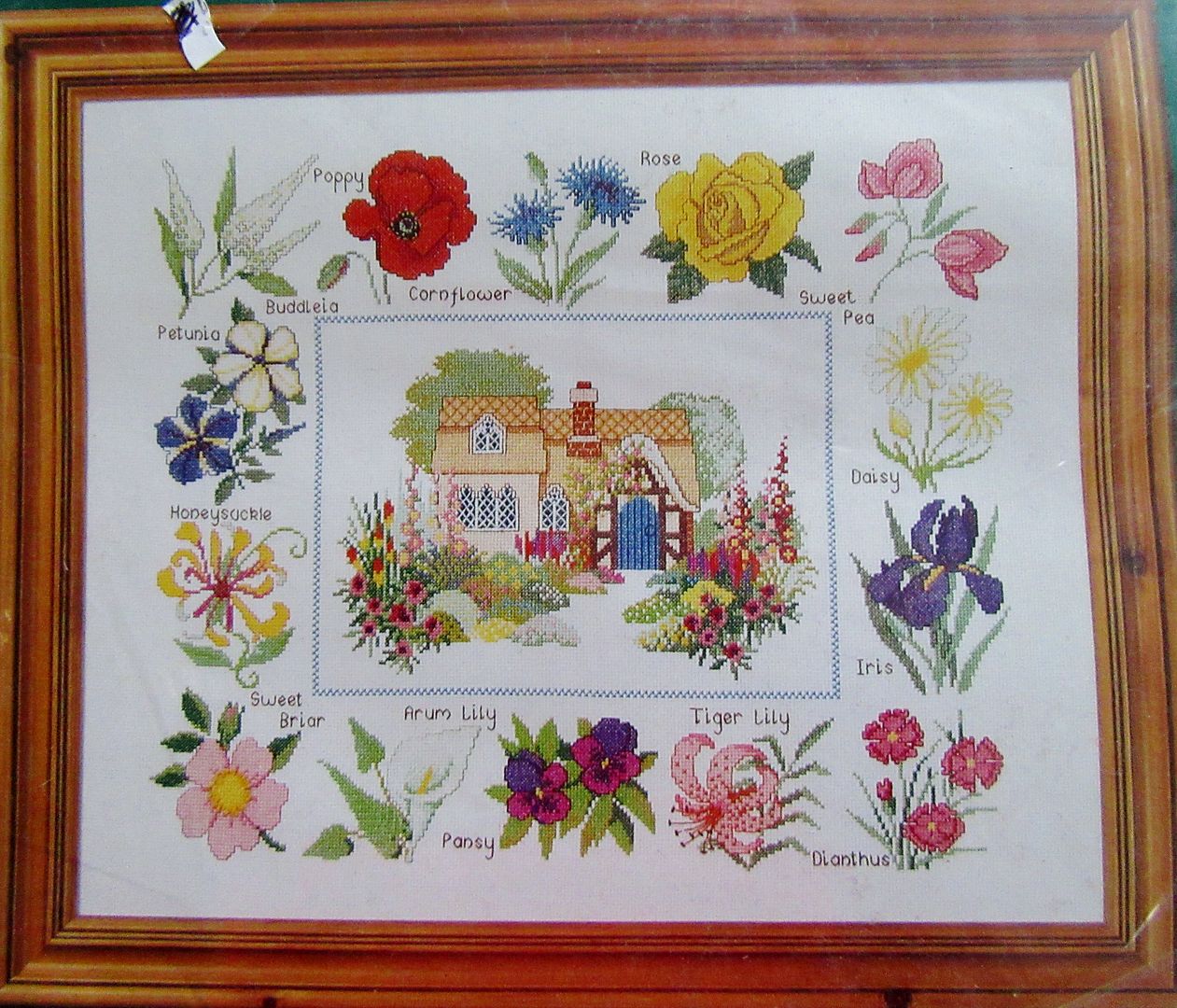 Cross Stitch Kit The Craft Collection Cottage Garden eBay