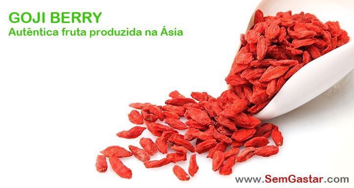 goji berry weight loss