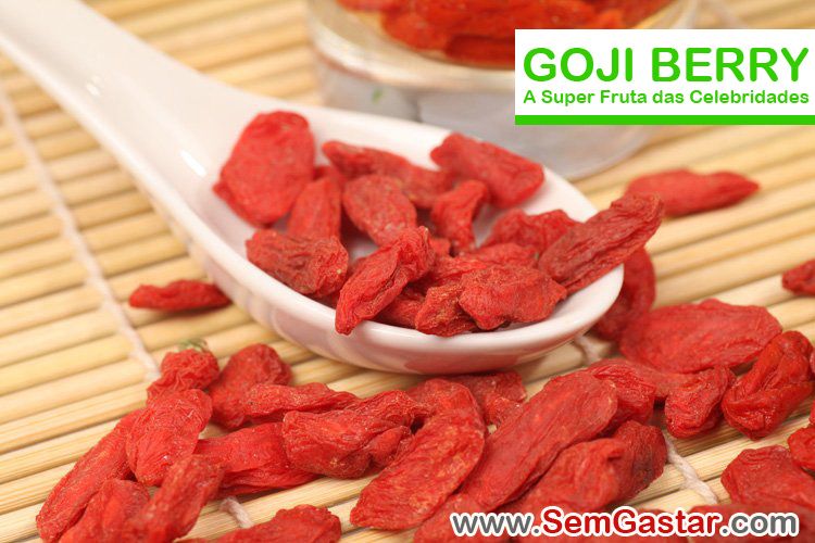 goji berry weight loss