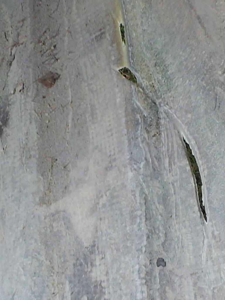 20121006_162402.jpg