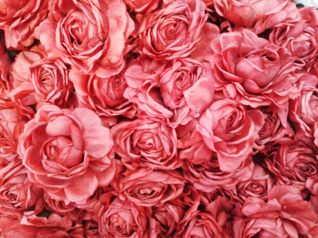 photo 20130406_132949_zps669b9114.jpg