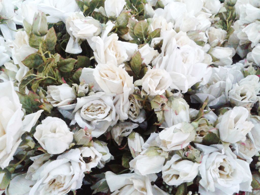 photo 20130406_133001_zps7b8af3b2.jpg