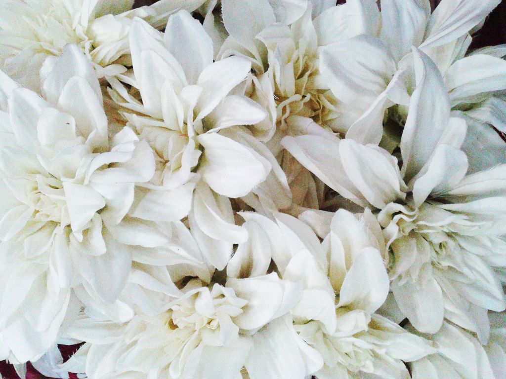 photo 20130406_133012_zpsa679ab9c.jpg