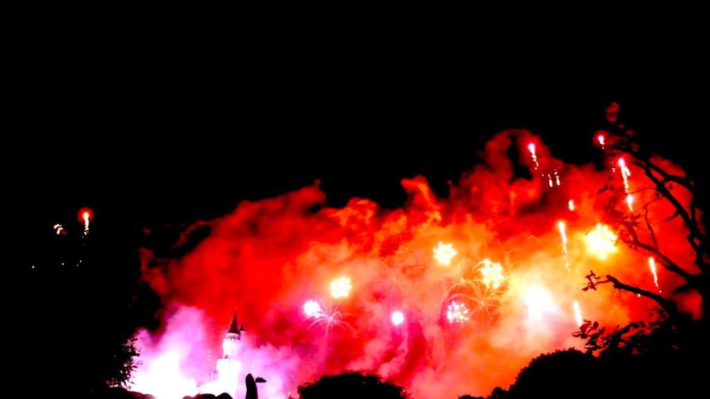 photo L1020864_zps8e68435b.jpg