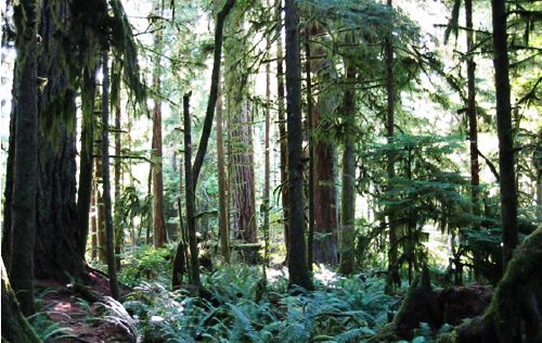 photo arrowsmith-main1.jpg