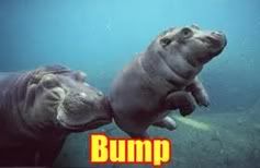bump2.jpg