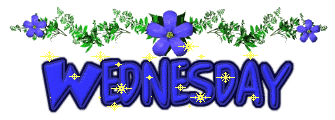 2hd8fhi.gif