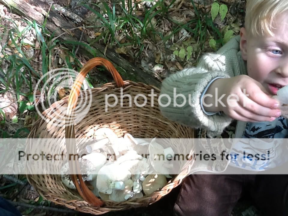 Uploaded from the Photobucket iPad App