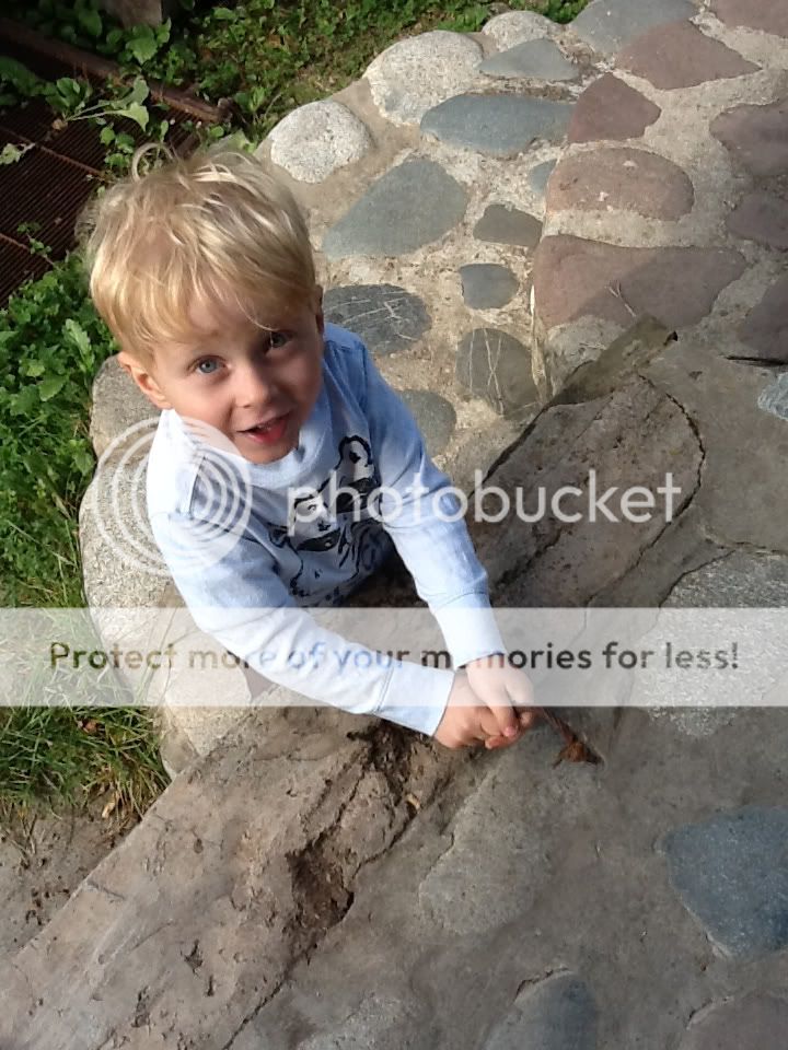 Uploaded from the Photobucket iPad App