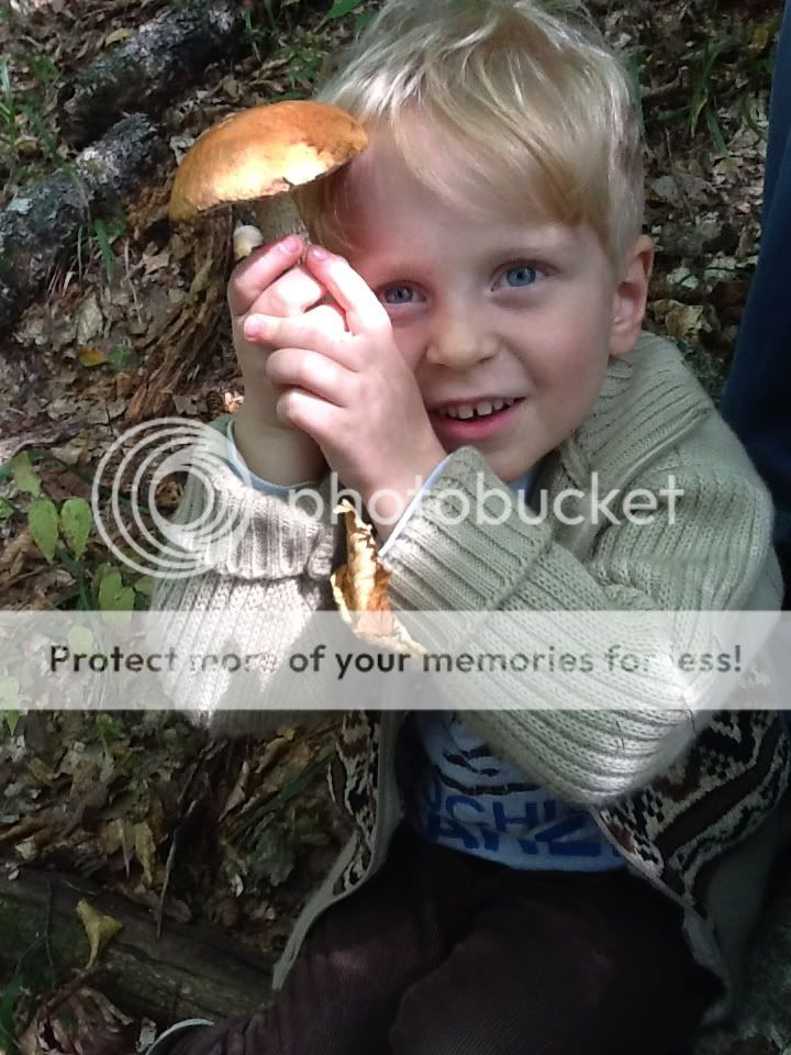 Uploaded from the Photobucket iPad App